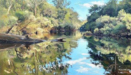 Land, Landscape, Nature, Outdoors, Pond, Scenery, Stream, Vegetation, Water, Woodland